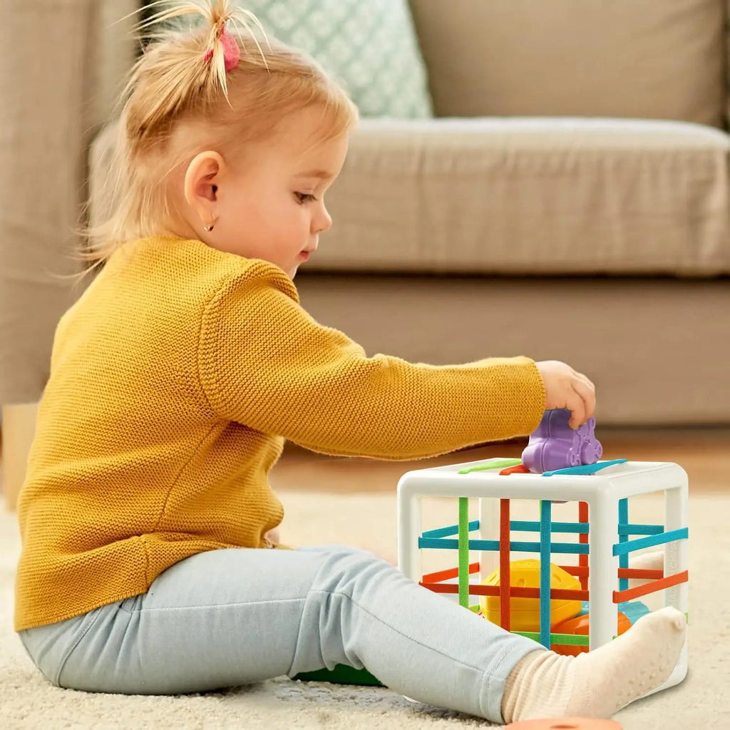 Montessori Sensory Shape Sorting Cube